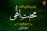 Iman bil-Allah ka Pehla Taqaza, Mahabbat e Elahi (Vol 1)