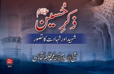 Shaheed aur Shahadat ka Tasawwur (Quran ki Roshani mein)-by-