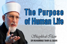 The Purpose of Human Life-by-