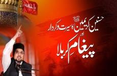 Hasnain Karimain (A.S) ka Sirat o Kirdar aur Paigham e Karbala  Paigham e Imam Hussain A.S Conference-by-Prof Dr Hussain Mohi-ud-Din Qadri