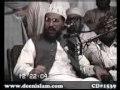 Zat e Mustafa (pbuh) se Ishq awr Talimat e Mustafa (pbuh) par Aml-by-Shaykh-ul-Islam Dr Muhammad Tahir-ul-Qadri